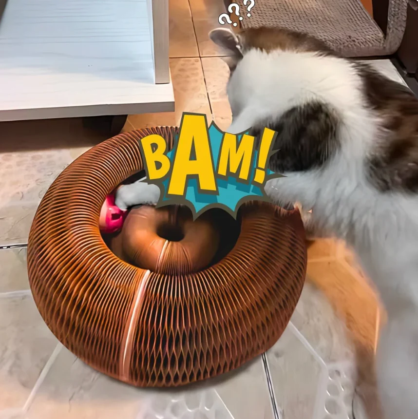 Magic Organ Cat Scratching Board--Comes with a toy bell ball and catnip