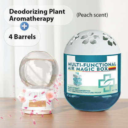 🔥2026 New Collection - Limited-Time Offer⏰Indoor Air Purification Dust Removal Magic Box