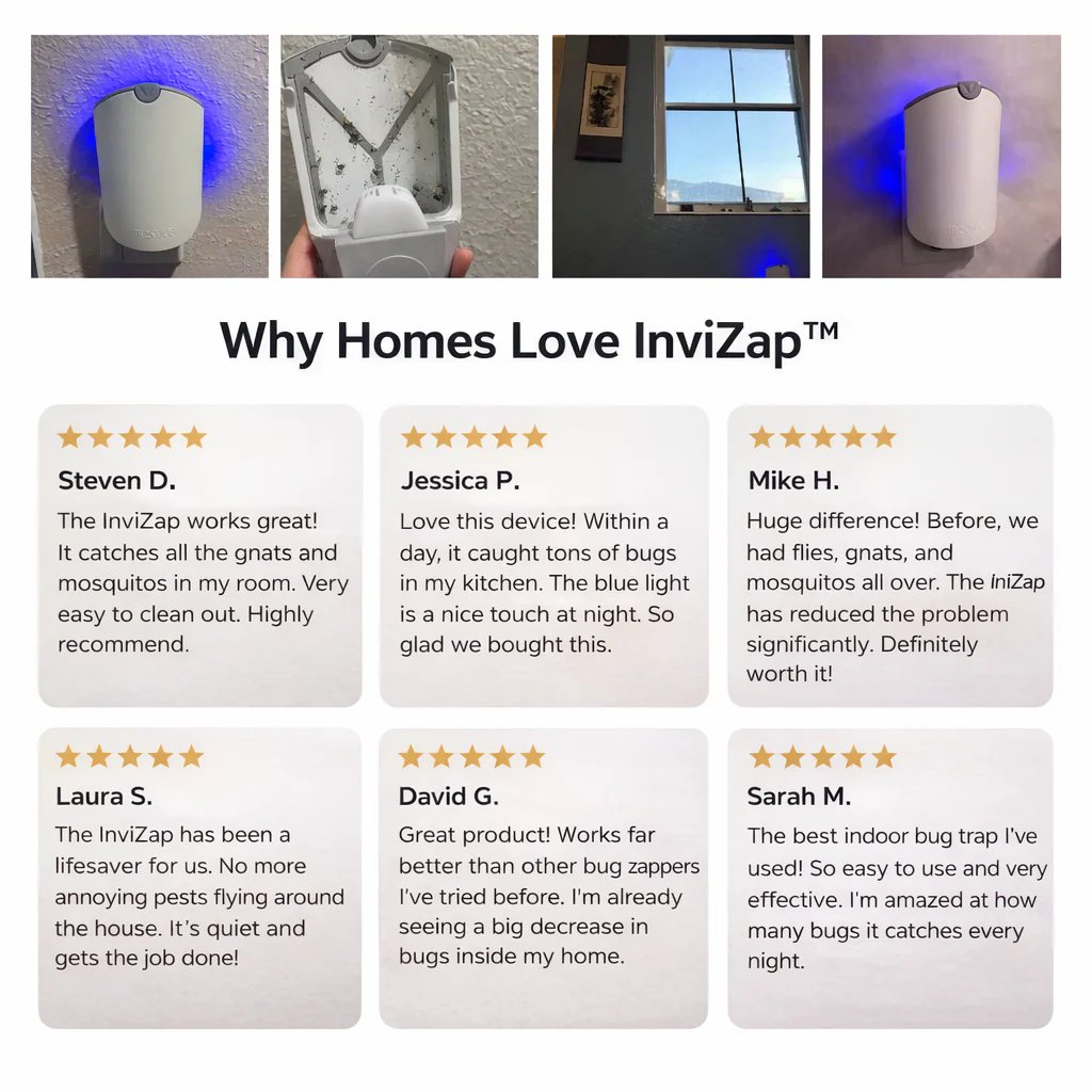 🌟Hot Sale🔥 SUMMER Essential | Flying Insect Trap