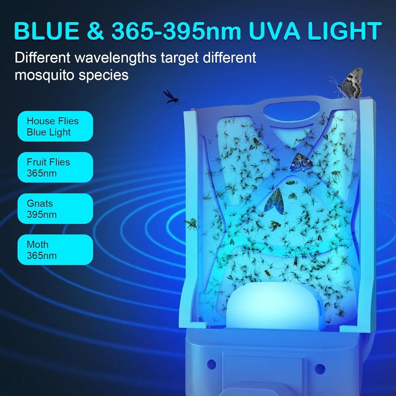 🌟Hot Sale🔥 SUMMER Essential | Flying Insect Trap