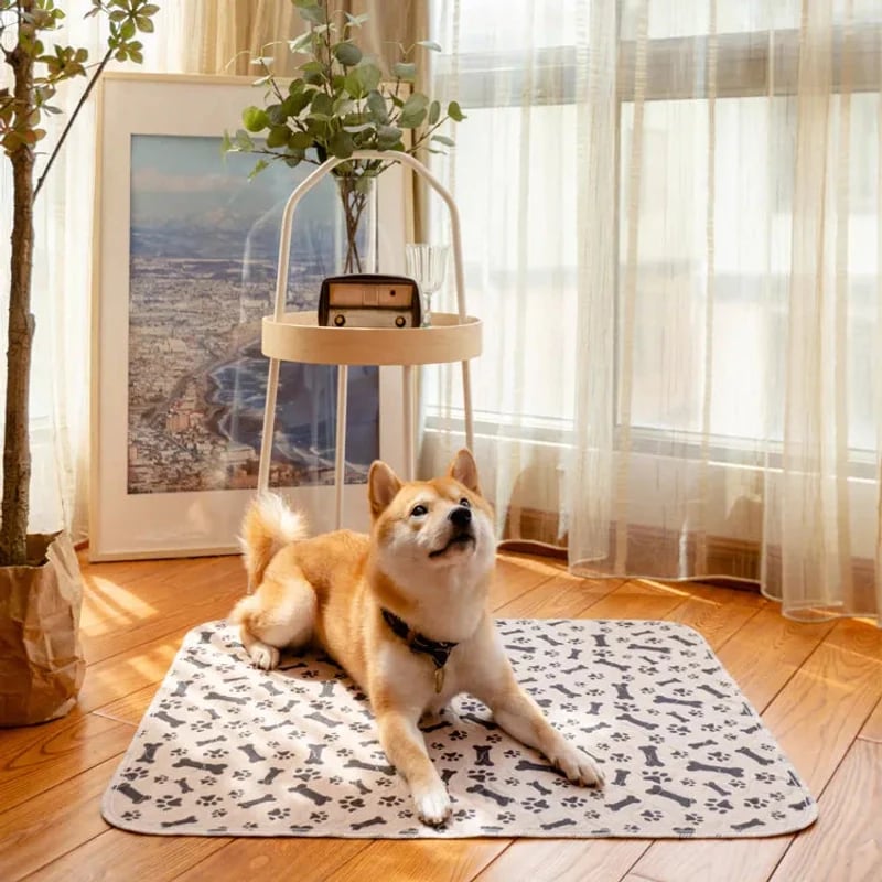🌏🐶Stylish, super absorbent & reusable for a cleaner home😸