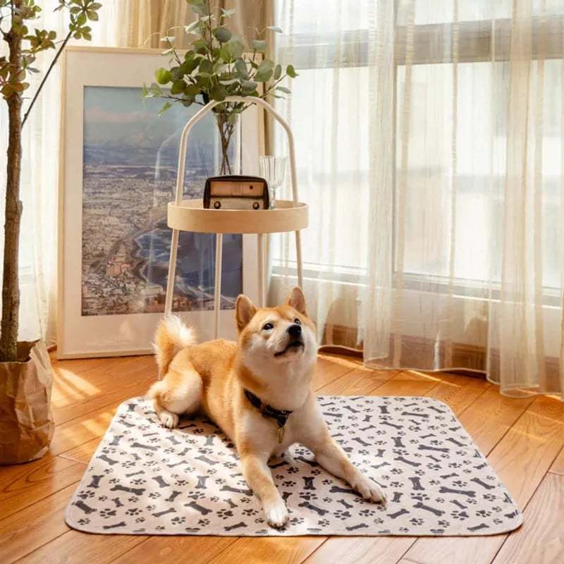🌏🐶Stylish, super absorbent & reusable for a cleaner home😸
