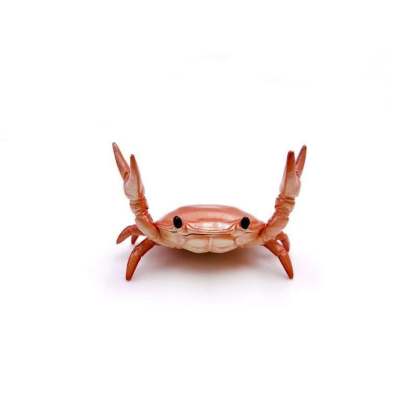 🤣 Funny Hot Sale - 🦀 Cute crab-shaped pen holder💖