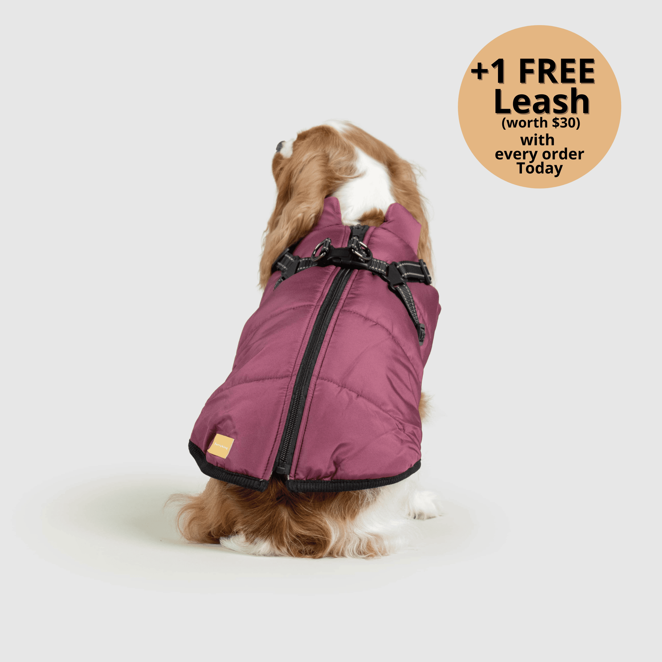 🔥 Waterproof Winter Dog Jacket with Built-in Harness 3 in 1 Winter Jacket🎁