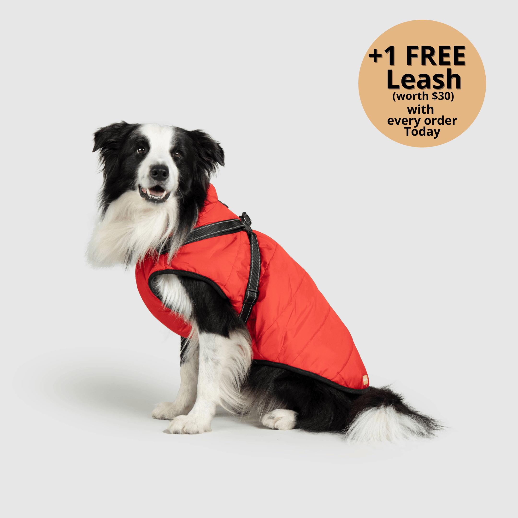 🔥 Waterproof Winter Dog Jacket with Built-in Harness 3 in 1 Winter Jacket🎁