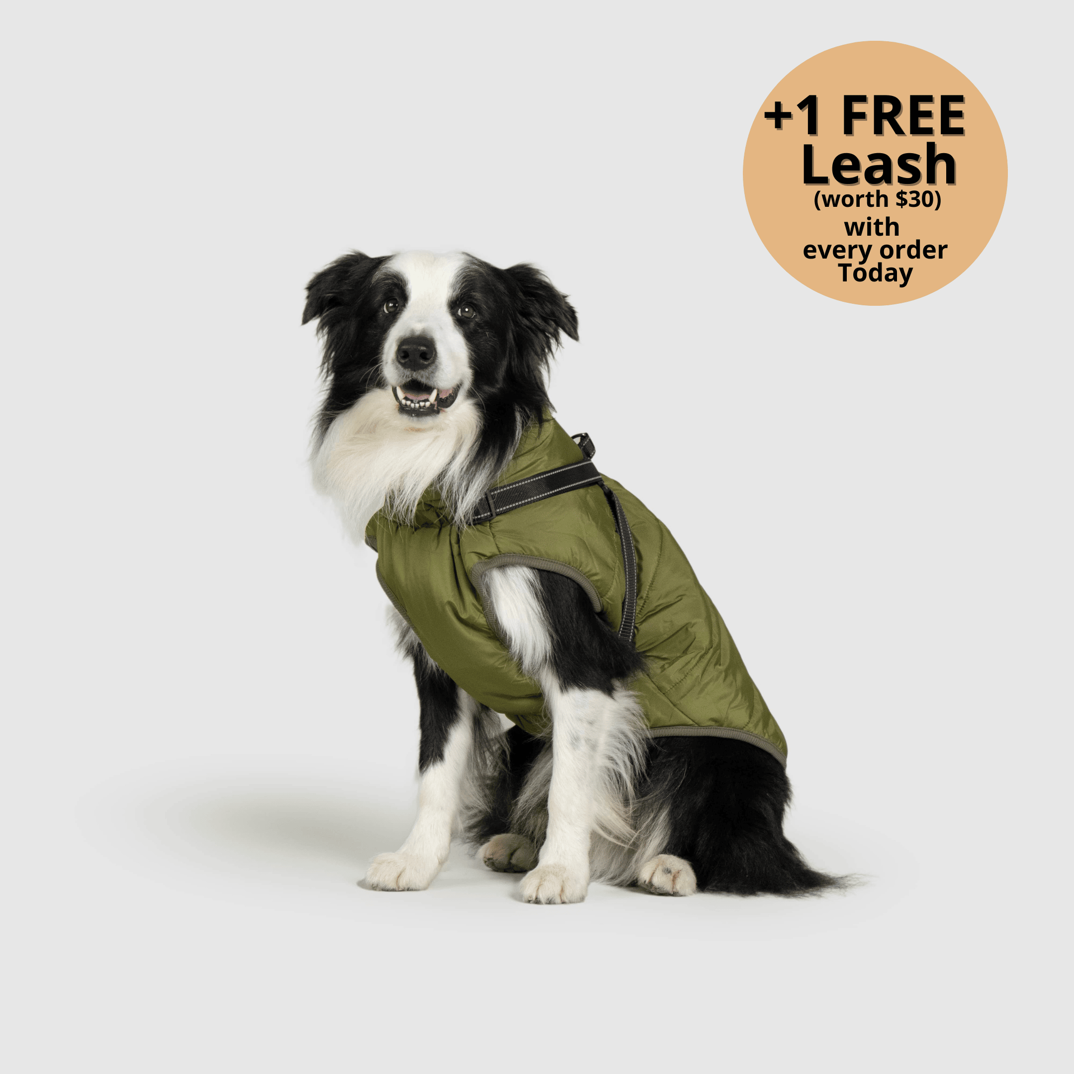 🔥 Waterproof Winter Dog Jacket with Built-in Harness 3 in 1 Winter Jacket🎁