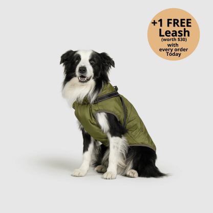 🔥 Waterproof Winter Dog Jacket with Built-in Harness 3 in 1 Winter Jacket🎁