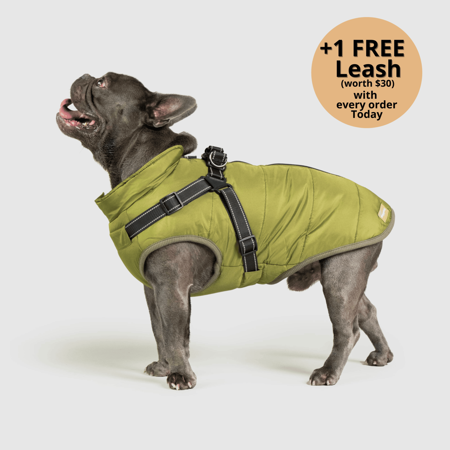 🔥 Waterproof Winter Dog Jacket with Built-in Harness 3 in 1 Winter Jacket🎁