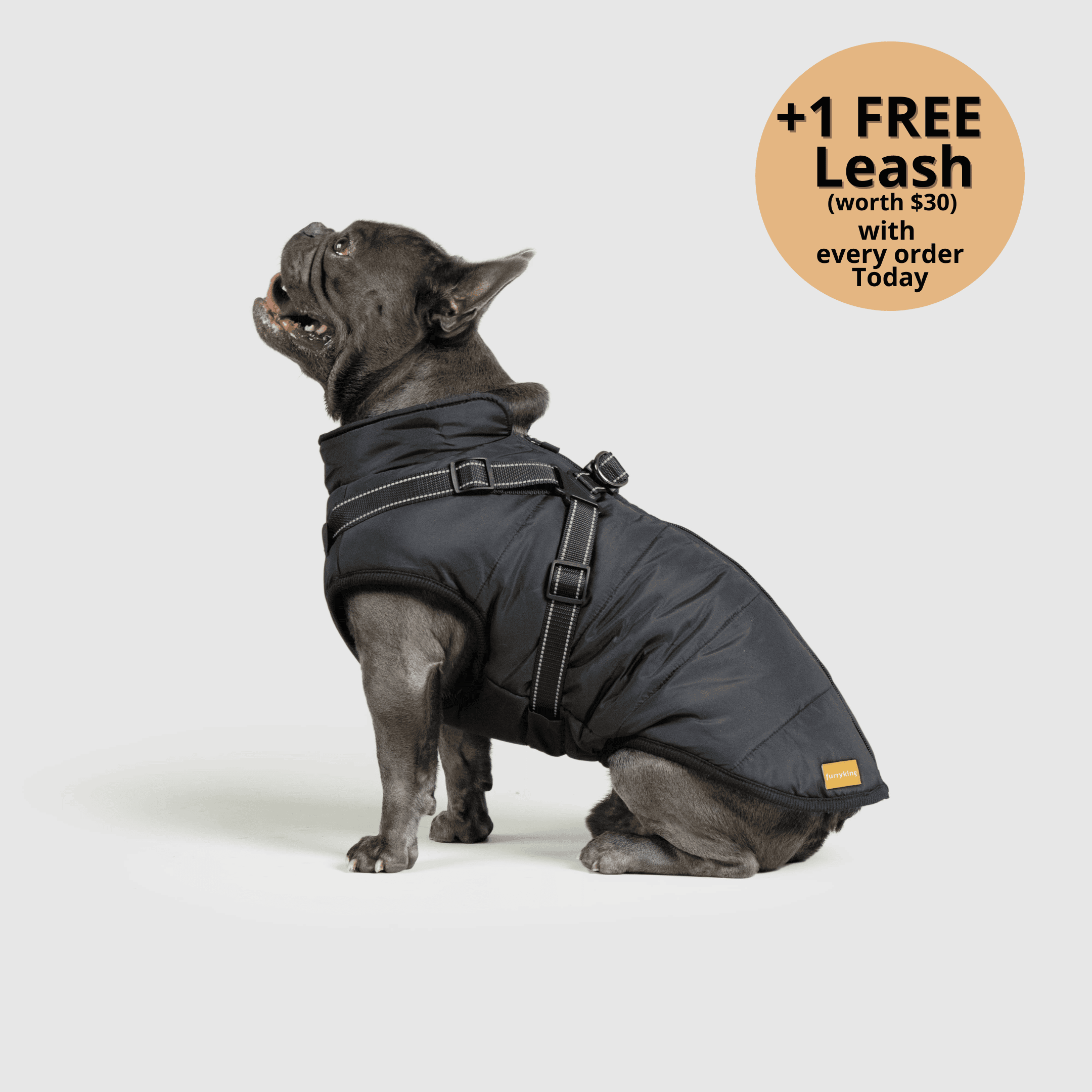 🔥 Waterproof Winter Dog Jacket with Built-in Harness 3 in 1 Winter Jacket🎁
