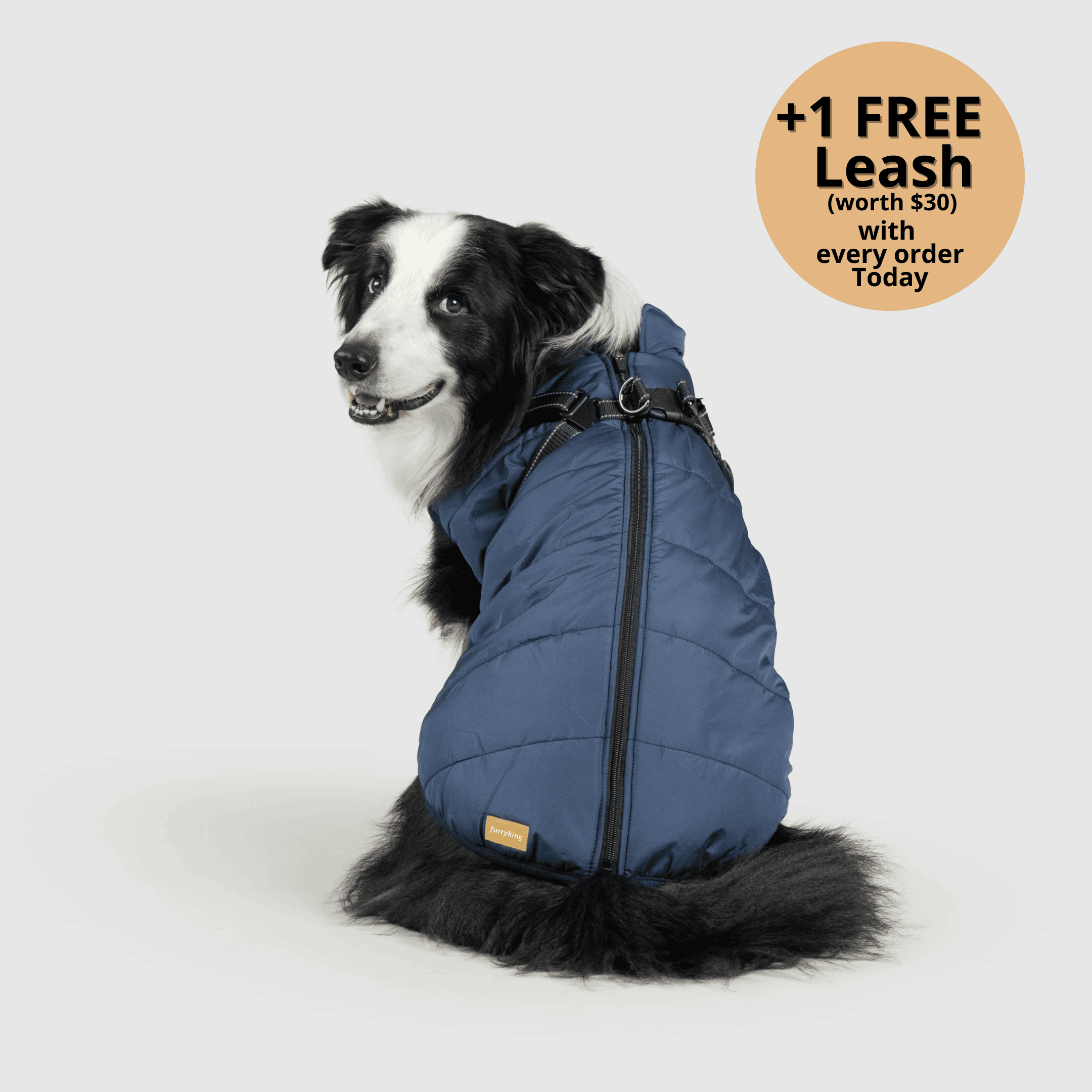 🔥 Waterproof Winter Dog Jacket with Built-in Harness 3 in 1 Winter Jacket🎁
