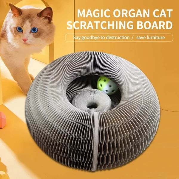 Magic Organ Cat Scratching Board--Comes with a toy bell ball and catnip