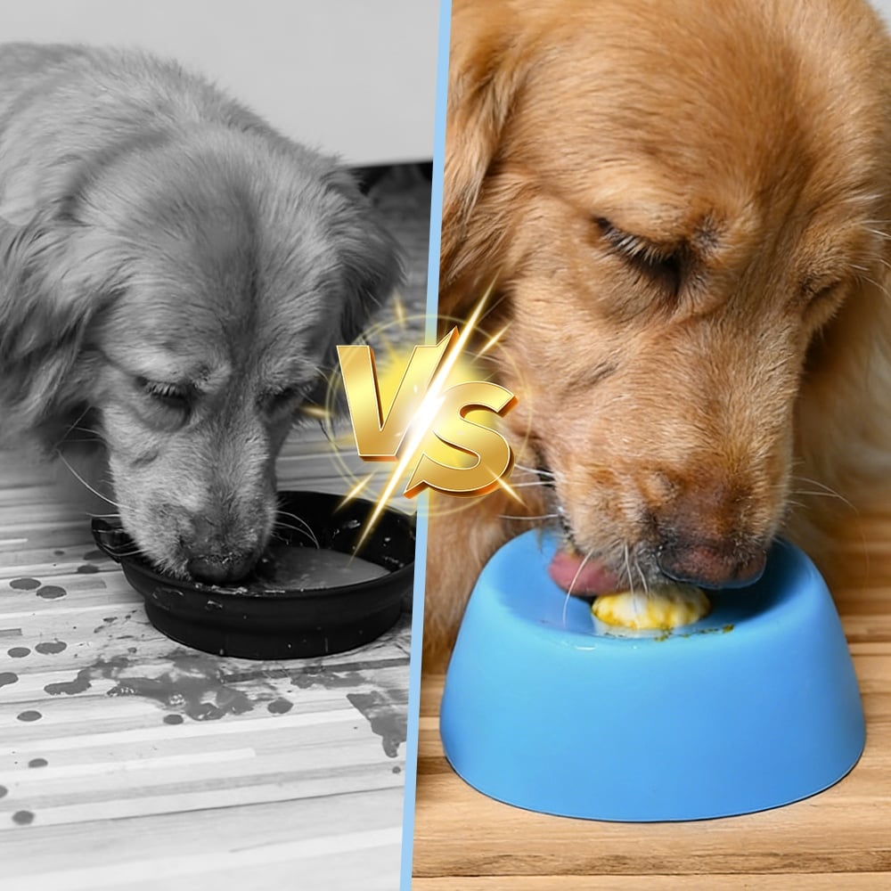 🔥Hot Sale🔥Slow-Feed Liquid Dog Bowls