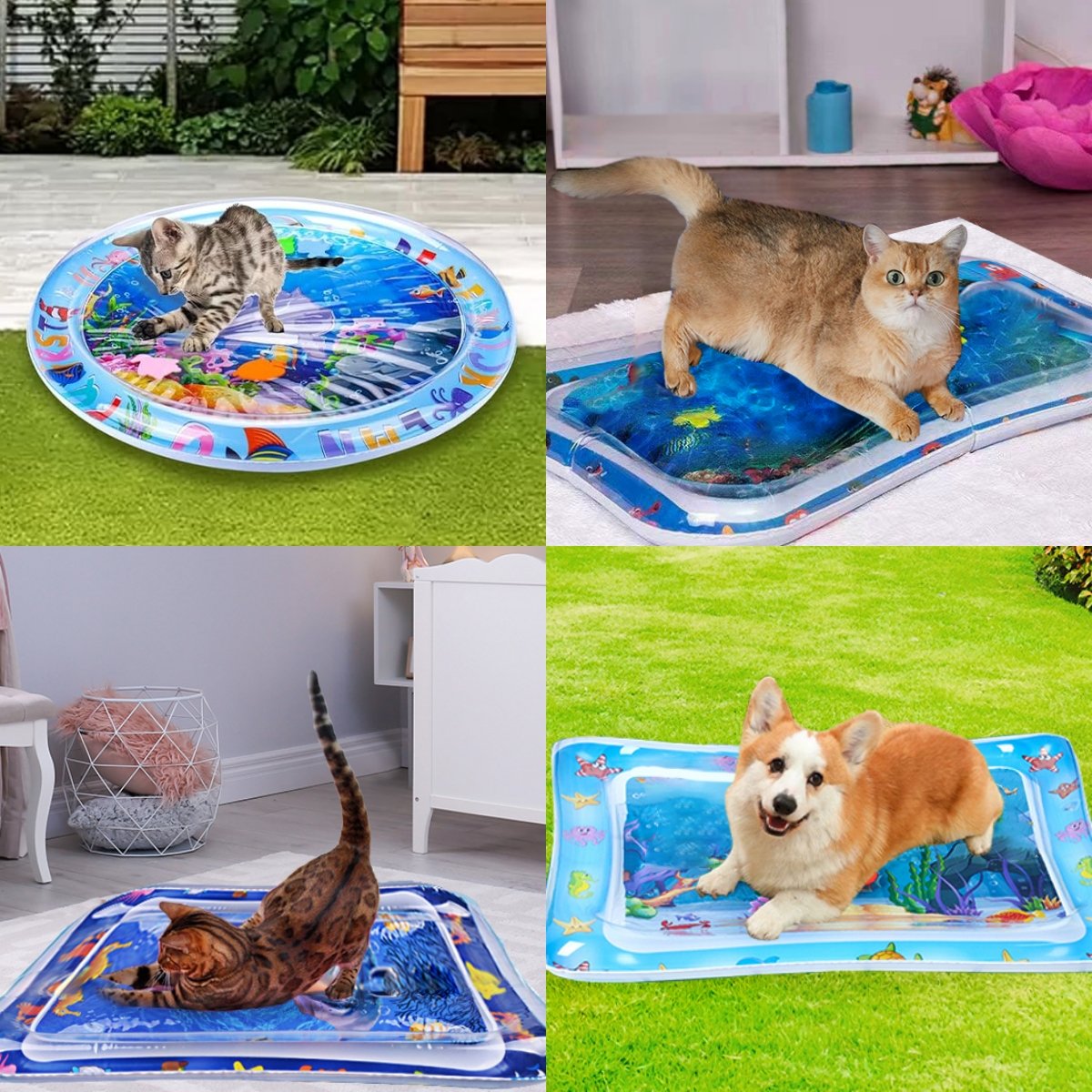 🔥2026 Best Seller—😻Pet Water Sensory Mat