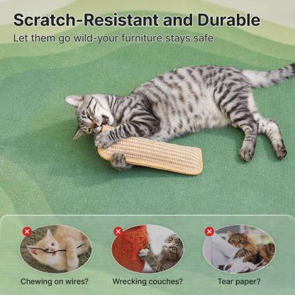 🔥LAST DAY 45% OFF🐱Interactive Catnip Chew Toy✨