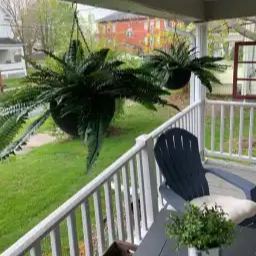 Last Day 65% OFF🔥UV Resistant Lifelike Artificial Boston Fern