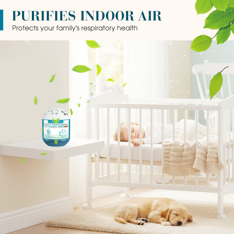 🔥2026 New Collection - Limited-Time Offer⏰Indoor Air Purification Dust Removal Magic Box