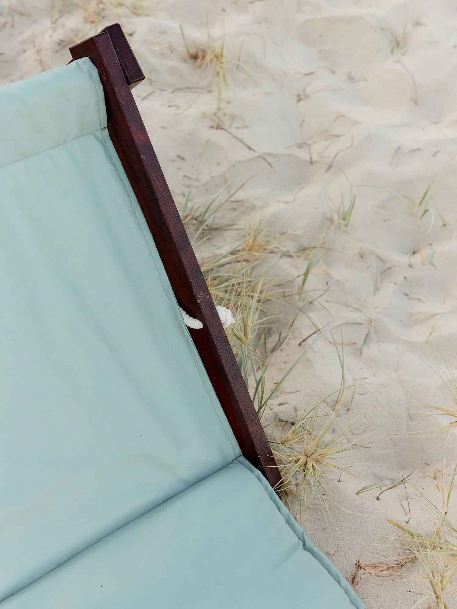 Beach Recliner
