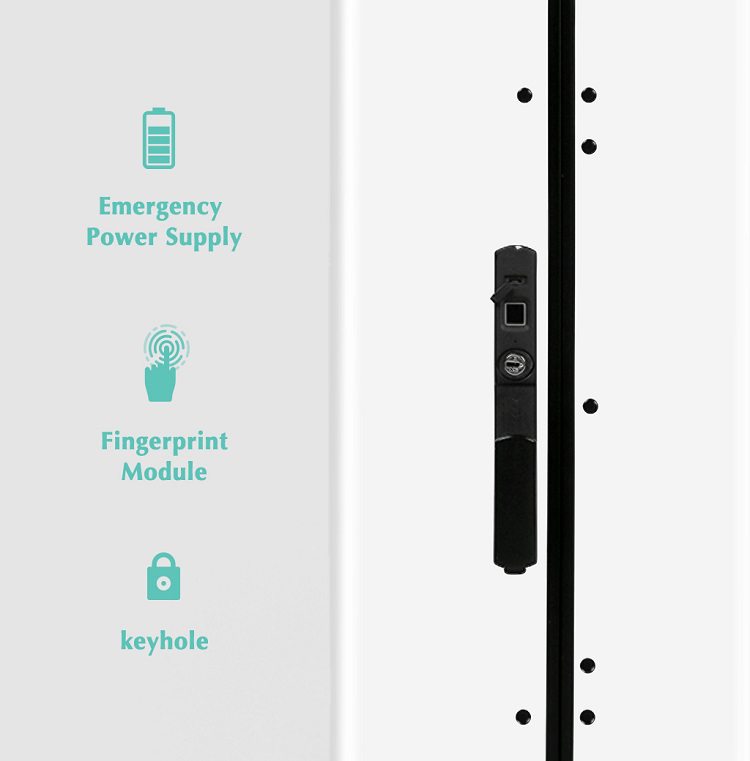 Fingerprint lock module and control panel with emergency power supply