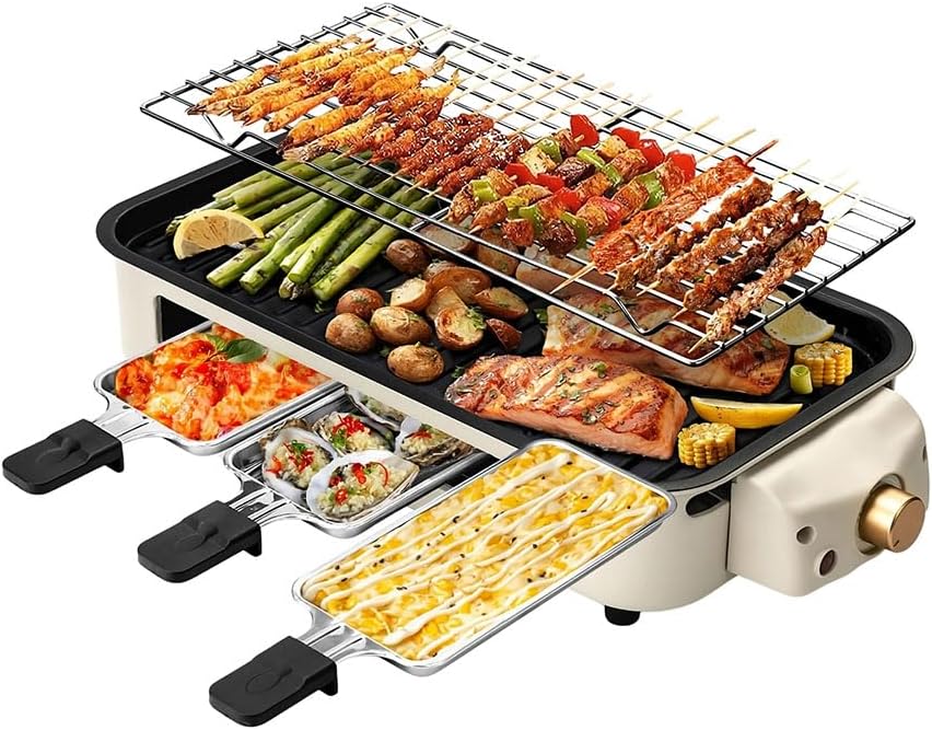 2-in-1 Electric Indoor Grill