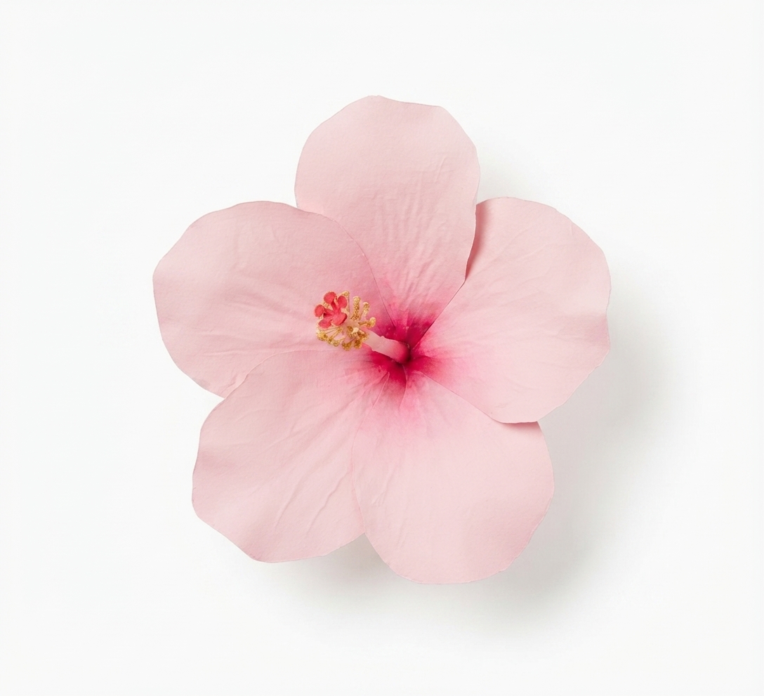 WALL FLOWERS