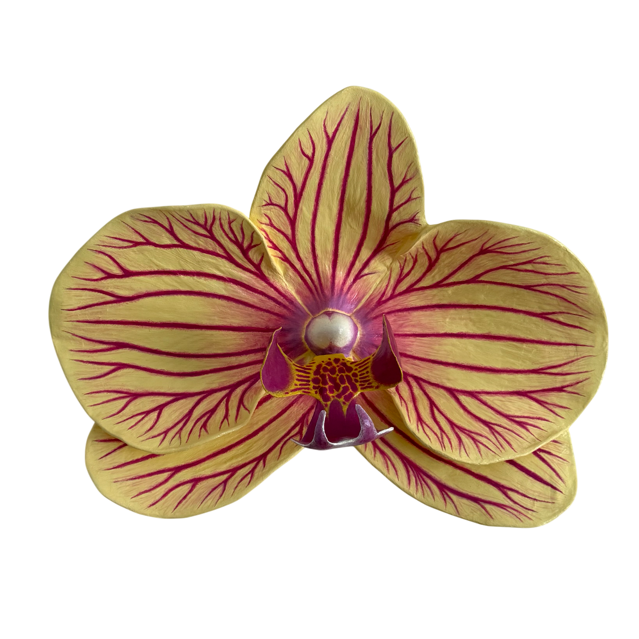 WALL FLOWERS