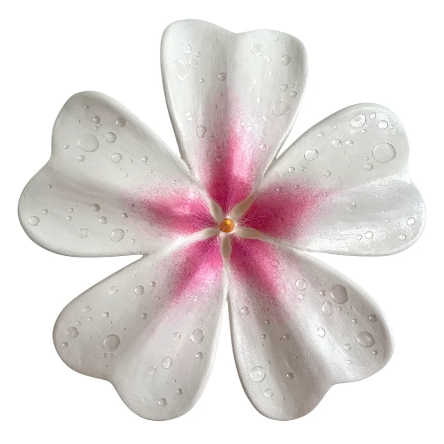 WALL FLOWERS