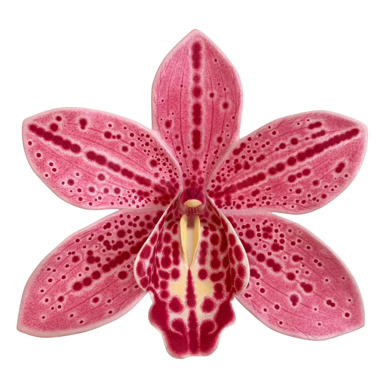 WALL FLOWERS