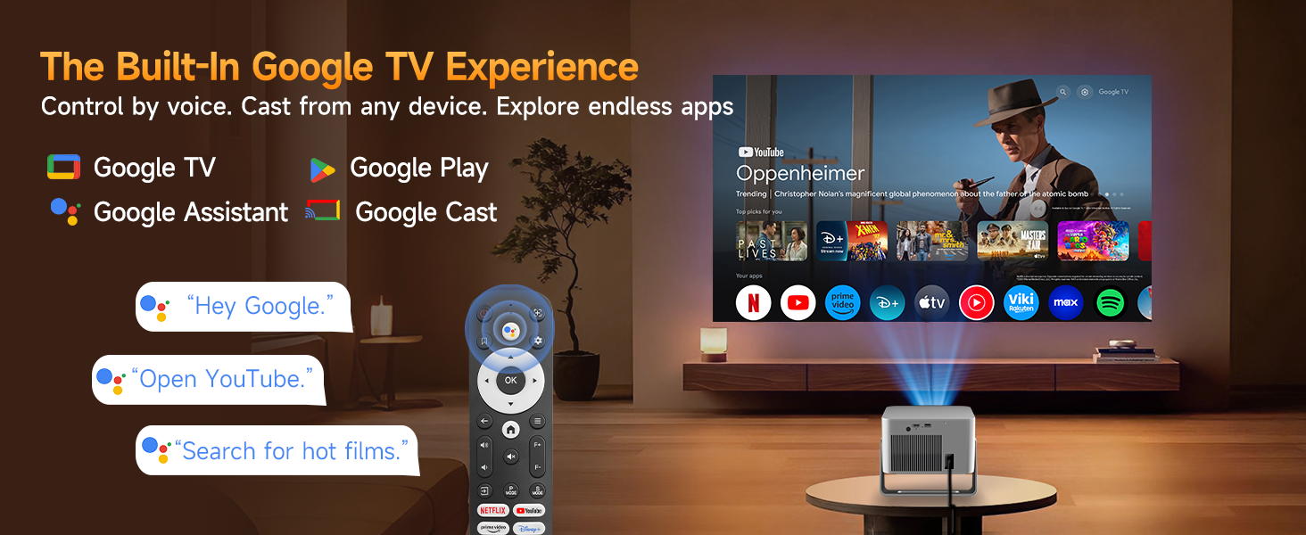Google TV