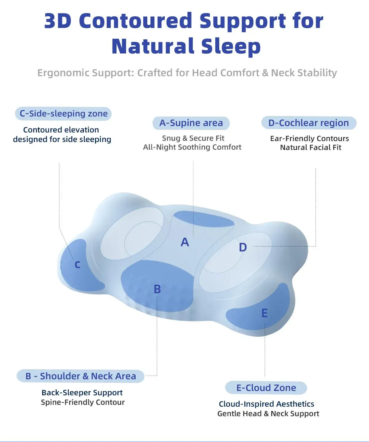3D contoured support zones A to E