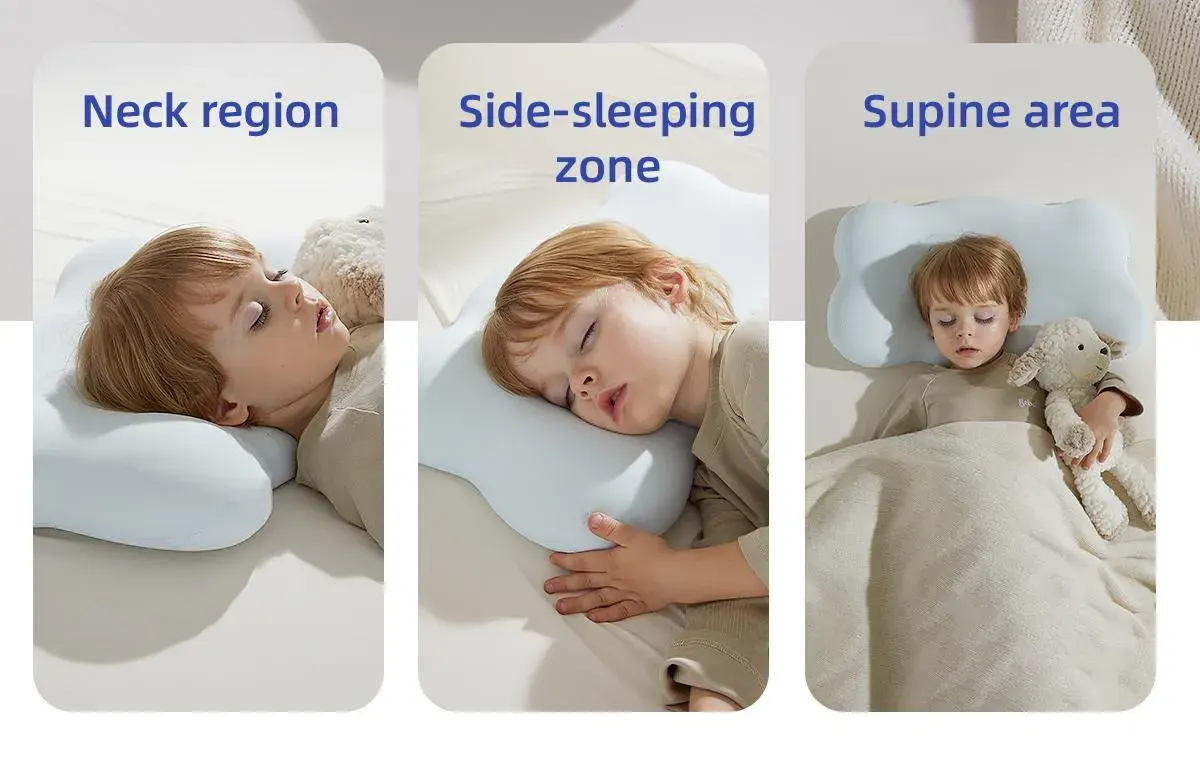 Neck region, side-sleeping zone, and supine area