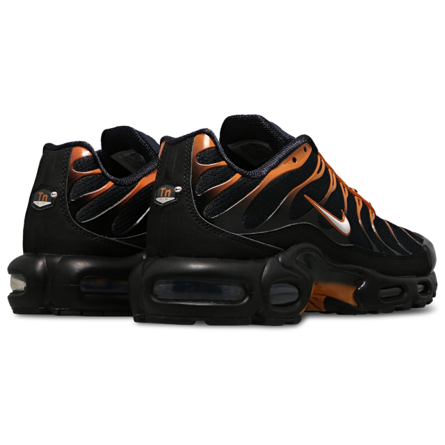 Nitthhke Air Max Plus TN  Dark Obsidian