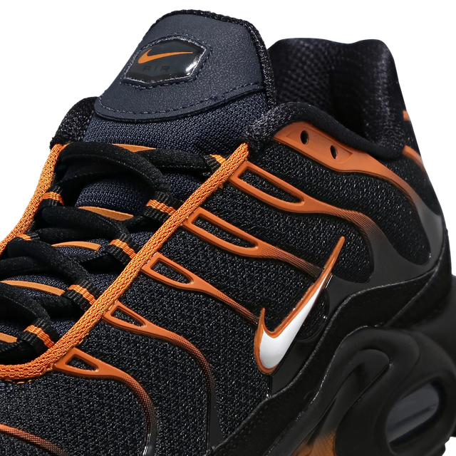 Nitthhke Air Max Plus TN  Dark Obsidian