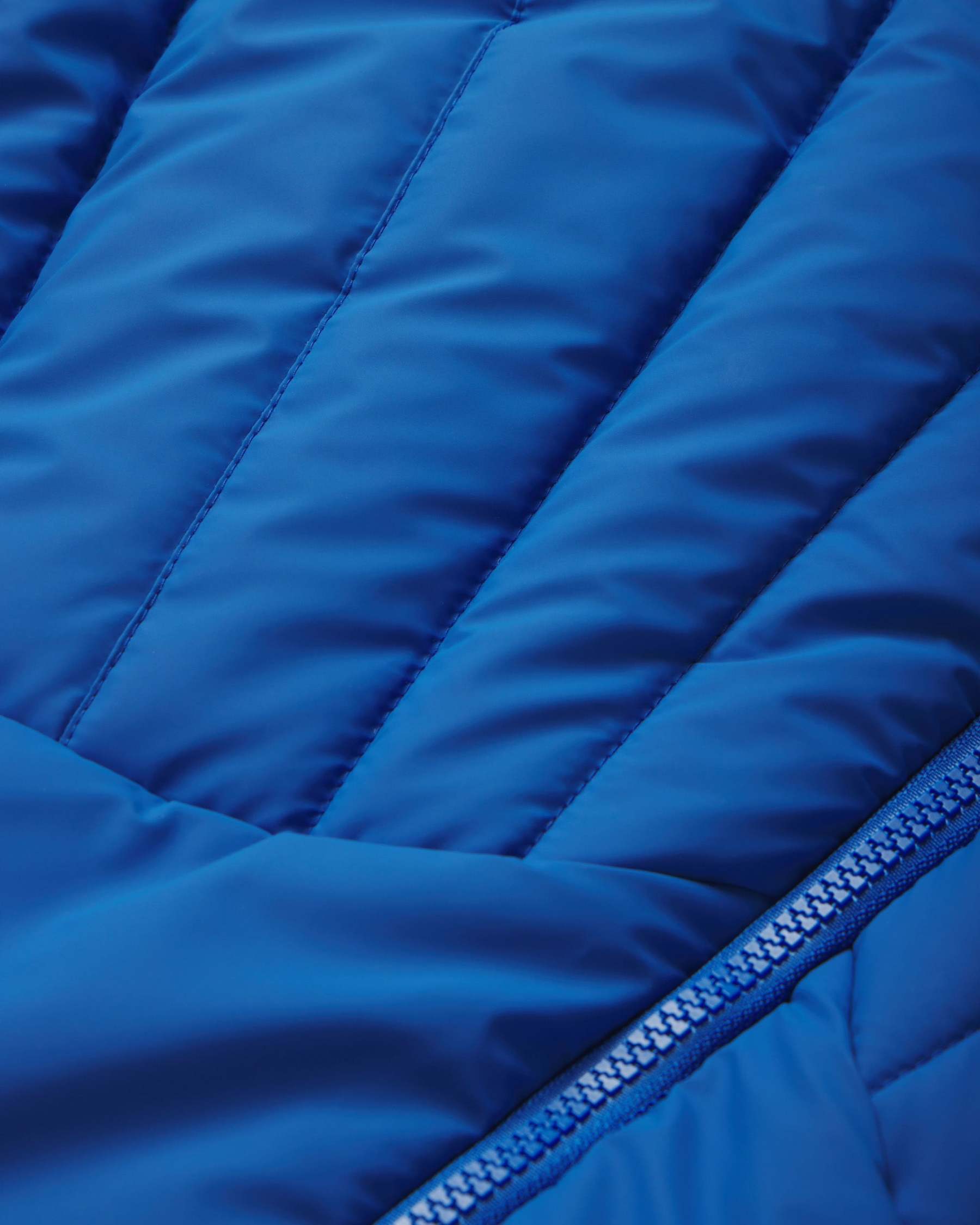 Sculpted Puffer Jacket