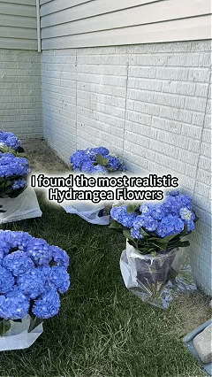 Flower Display