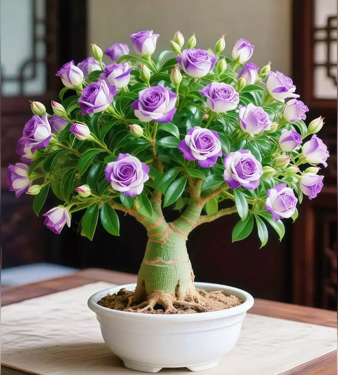 🌵 Редки семена на пустинна роза🌺Лесни за отглеждане