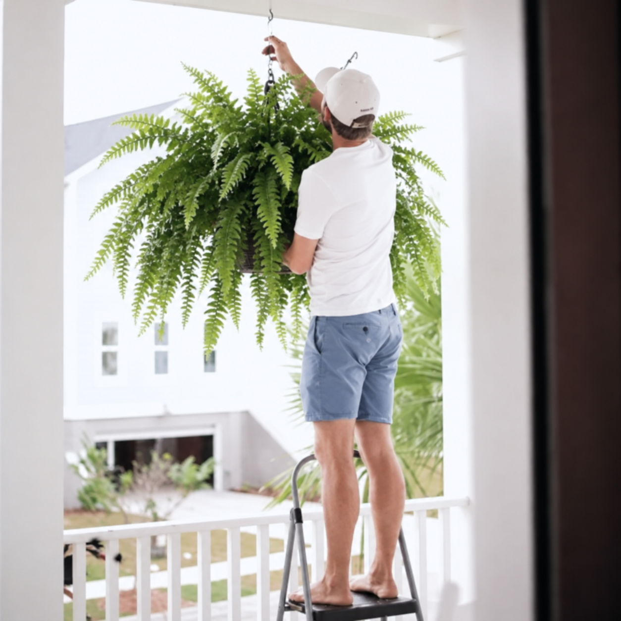 🔥BUY 1 GET 1 FREE (2 PCS) 💛Glowing Boston Ferns with Lights – 🌿 Zero Watering, Zero Maintenance