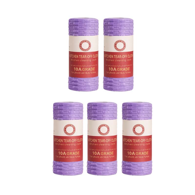 10A Tearable Reusable Plush Cleaning Cloth Roll, Washable Absorbent Household Cleaning Towels 🧻