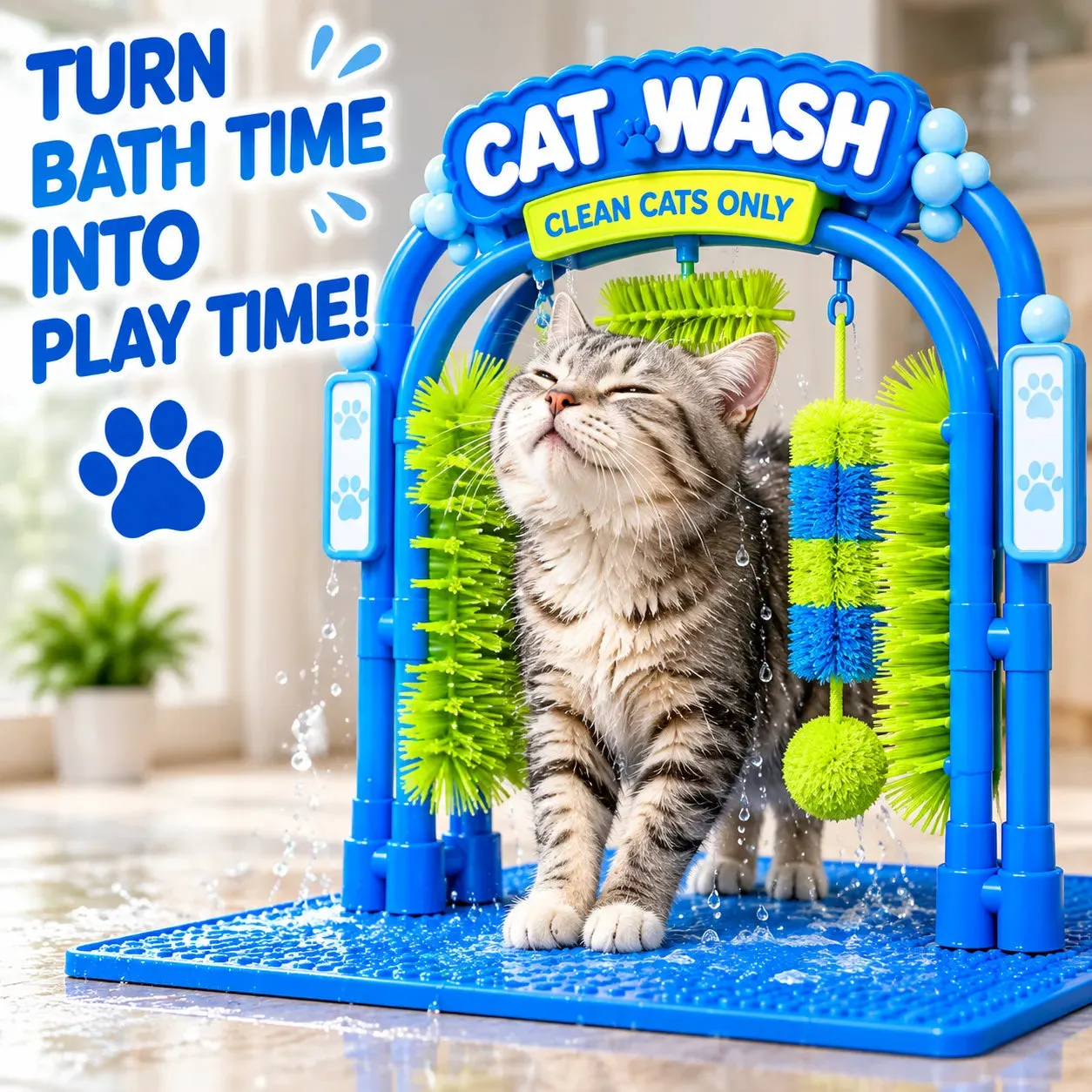The Cat Wash