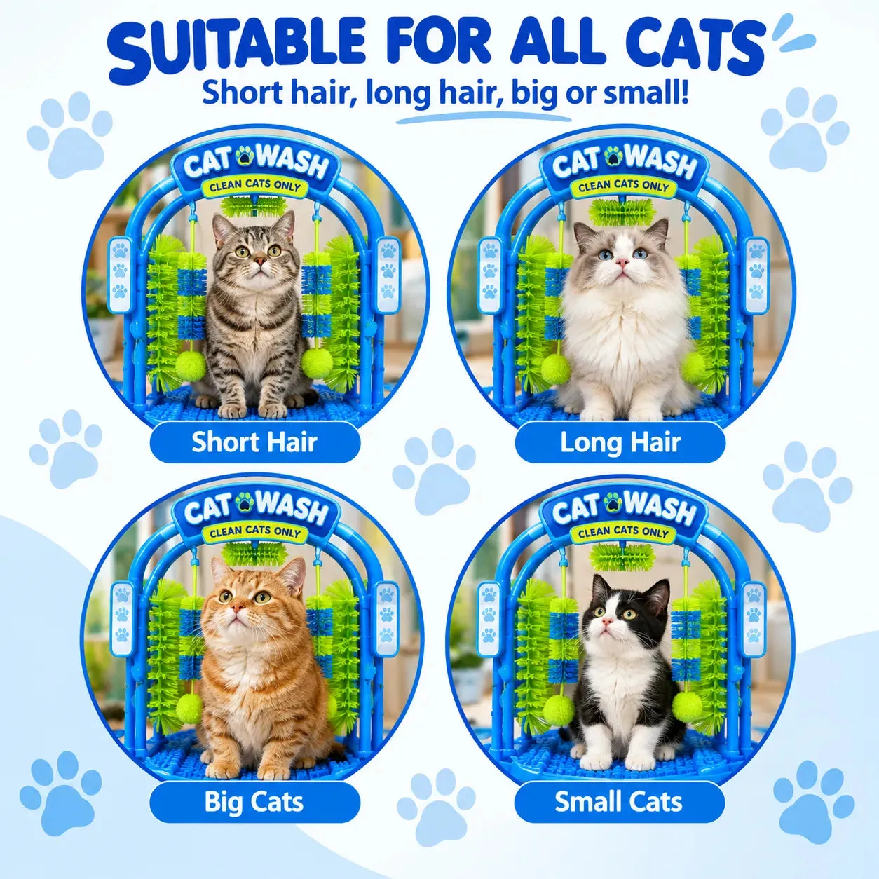 The Cat Wash