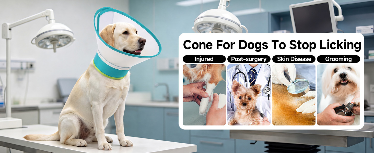 cone for dogs to stop licking