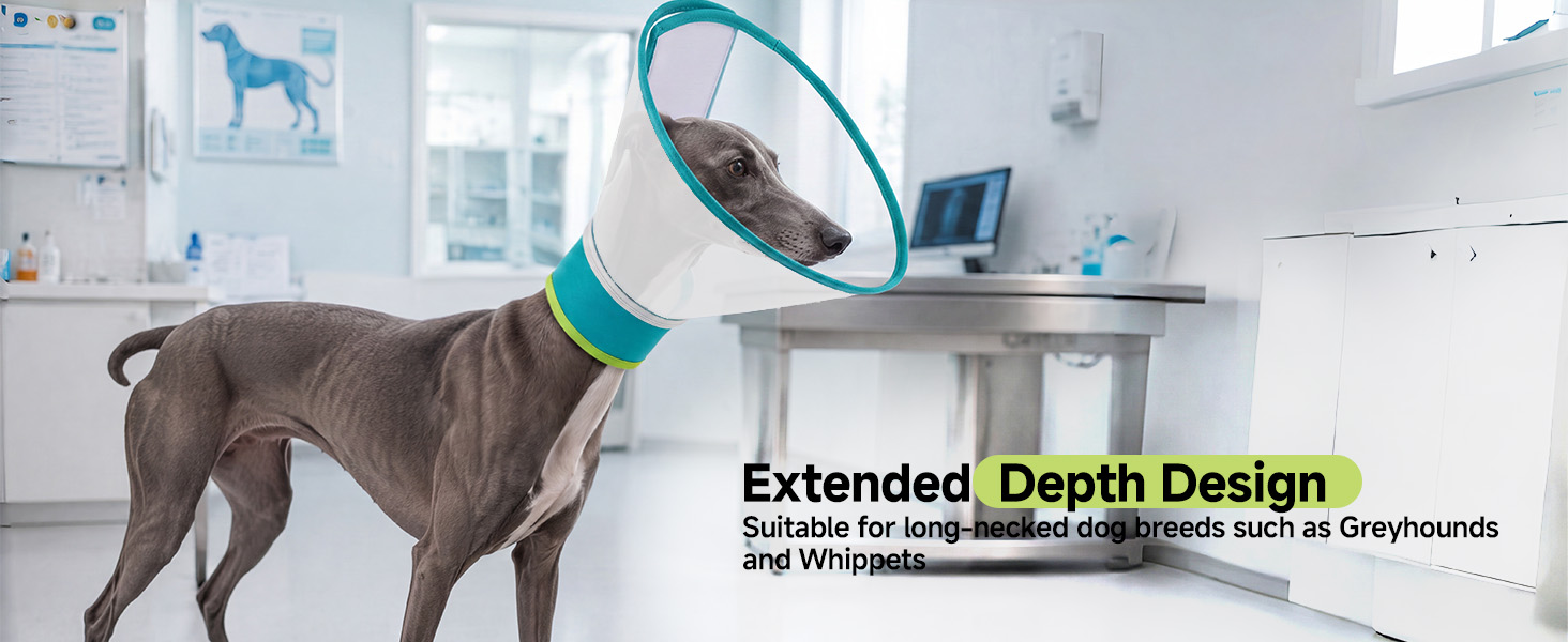 extra long dog cone