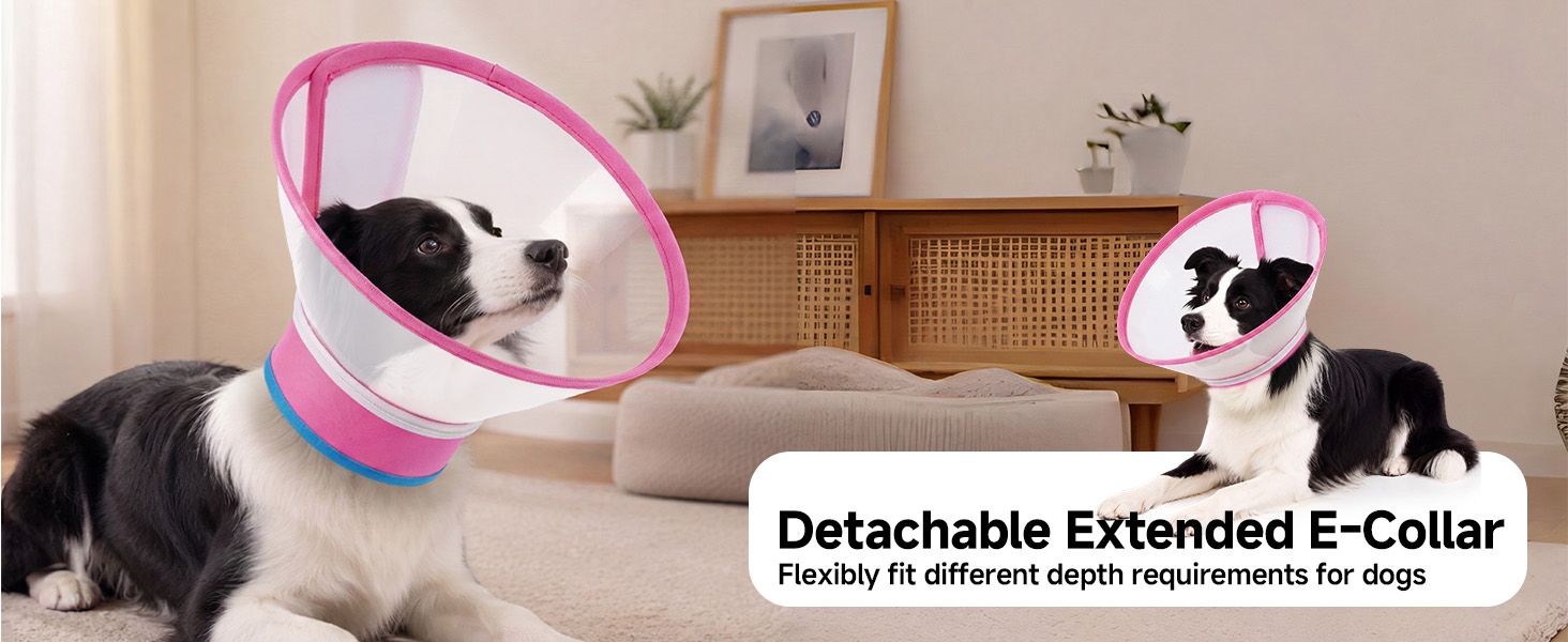 detachable dog cone with zipper
