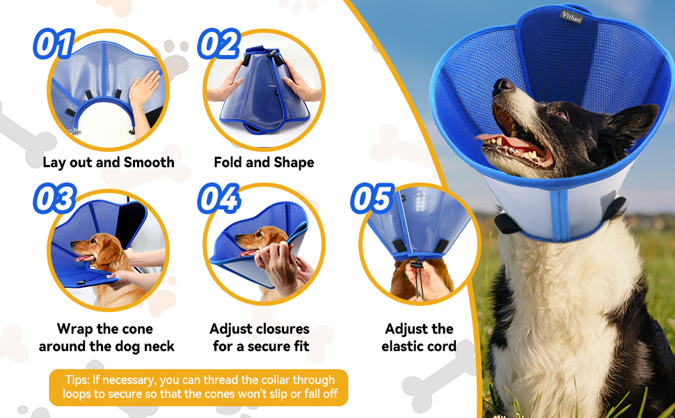 dog cone