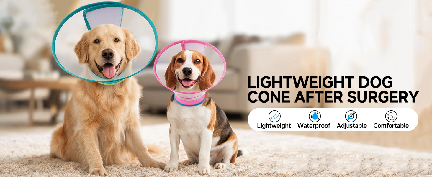 dog soft cone collar