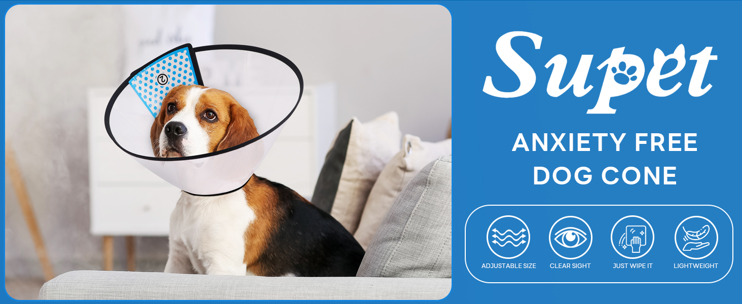 dog cone