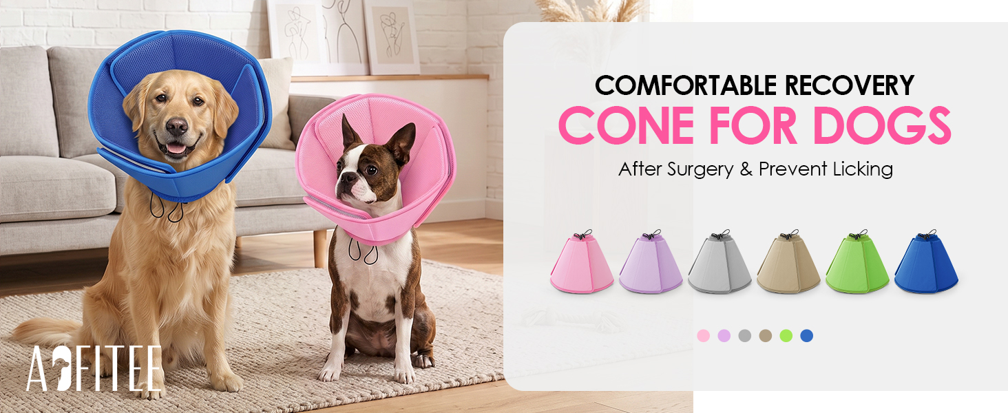 dog cone