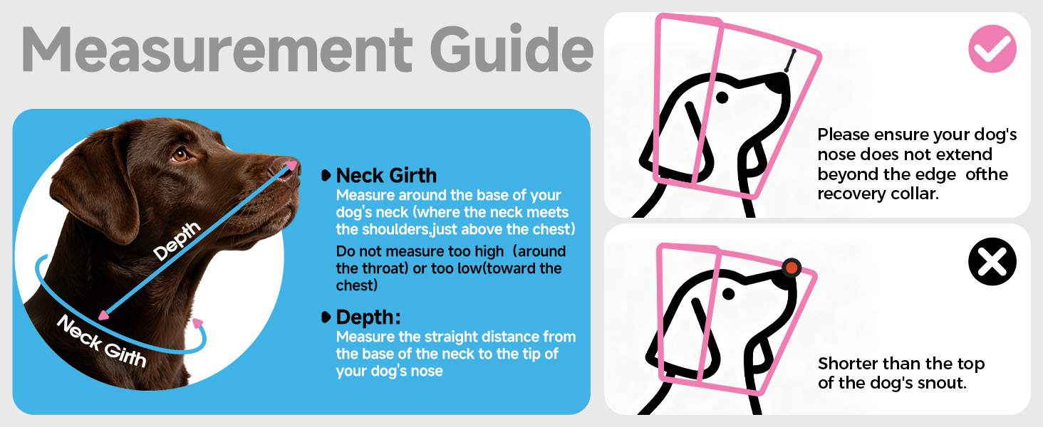 measurement guide