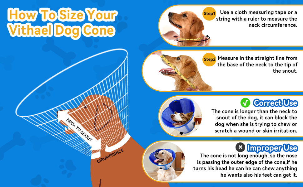 dog cone