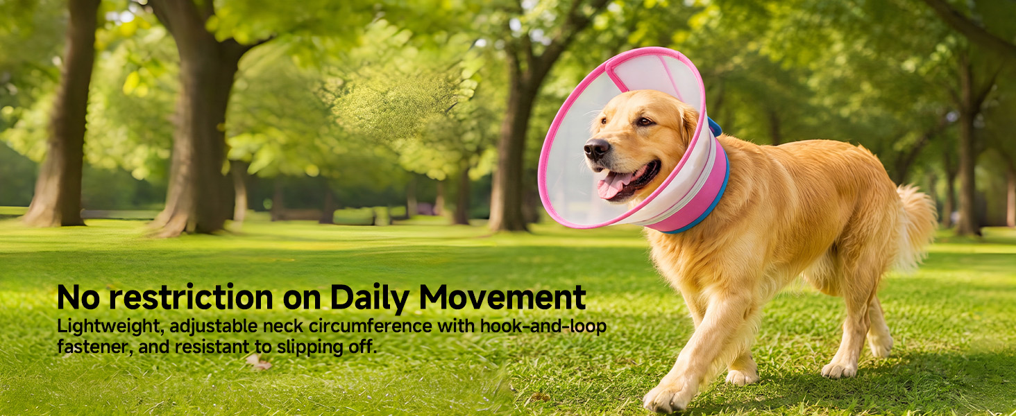 lightweight dog cone