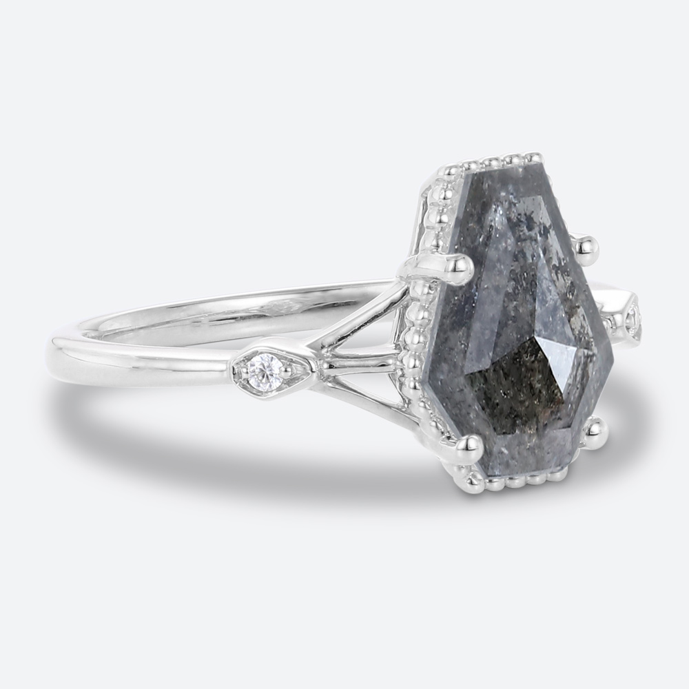 White Gold Ring Coffin Shaped Engagement Ring Salt and Pepper Diamonds